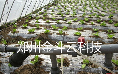 农业午夜精品福利视频