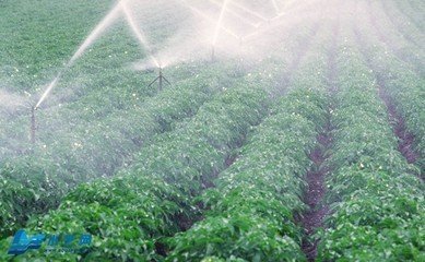 午夜精品福利视频系统