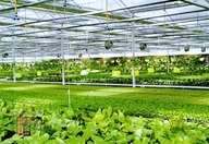 节水午夜精品福利视频厂家