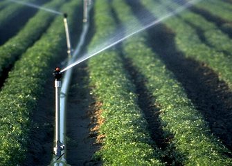 农业午夜精品福利视频 农业午夜精品福利视频