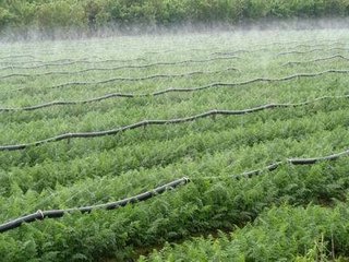 节水午夜精品福利视频