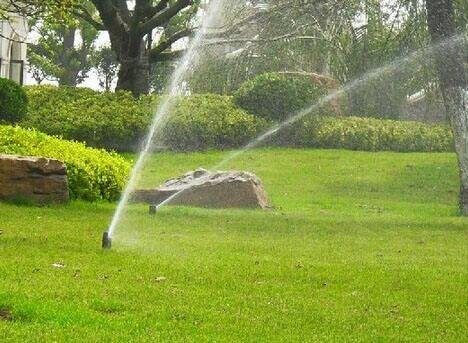 农业午夜精品福利视频 农业午夜精品福利视频