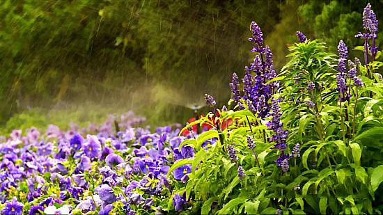 节水灌溉 节水灌溉