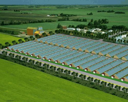 午夜精品福利视频 午夜精品福利视频