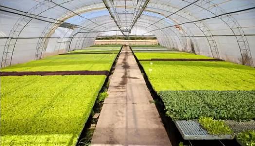 农业午夜精品福利视频 农业午夜精品福利视频