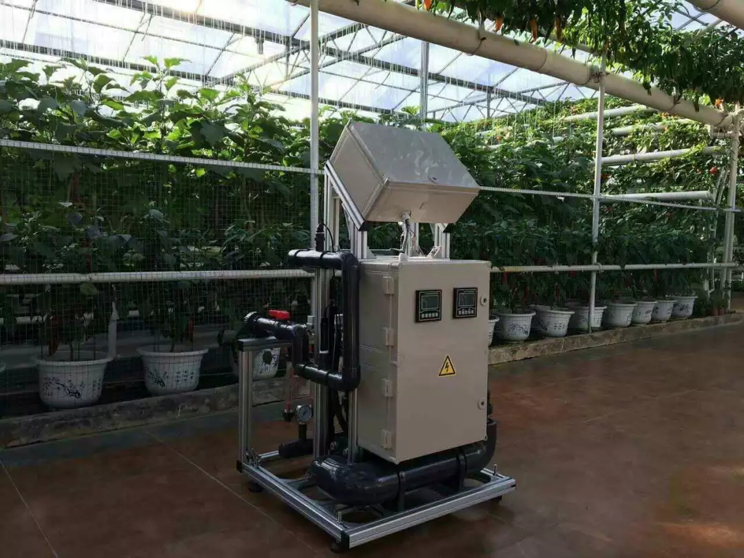 1556086071103921.jpg 1.webp.jpg