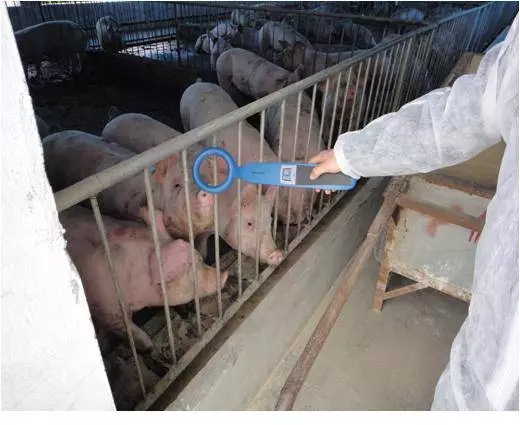 1556086169112949.jpg 7.webp.jpg