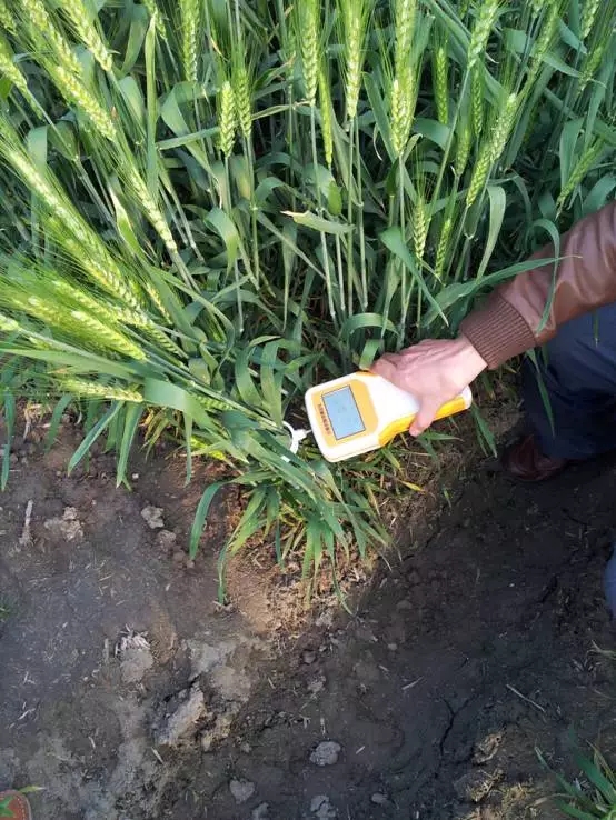 1556086262175741.jpg 13.webp.jpg