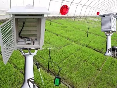 1556086340270024.jpg 17.webp.jpg