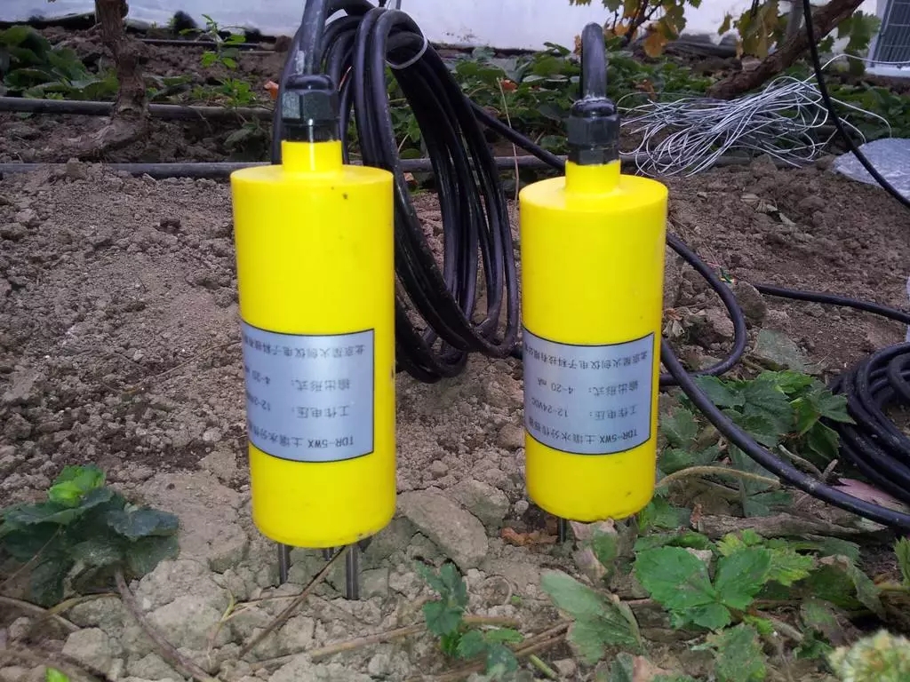 1556086362760328.jpg 18.webp.jpg