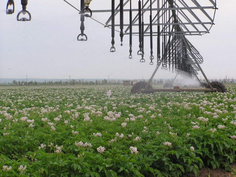 1597972022935543.png QQ截图20200821090253.png