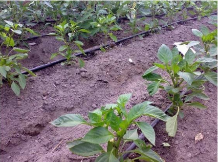 1598489768455344.png QQ截图20200826091747.png