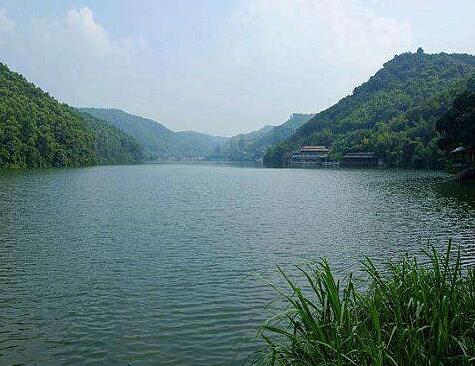 农业午夜精品福利视频 农业午夜精品福利视频