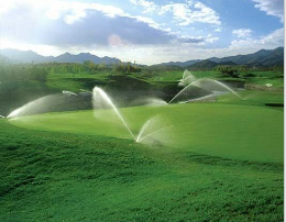 午夜精品福利视频系统 午夜精品福利视频系统